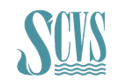 Swansea Council for Voluntary Service partner